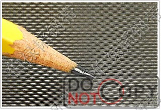 精密编织不锈钢网带/不锈钢输送网带